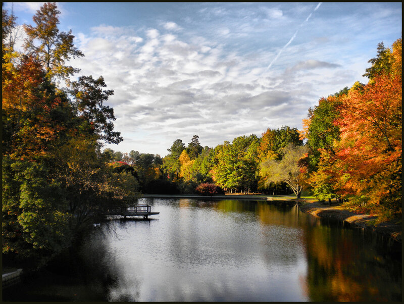Autumn Trees by Lake — Orange, Serene, Photograph, Dock
