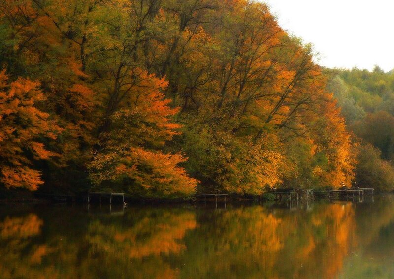Autumn Trees by Lake — Orange, Serene, Photograph, Docks
