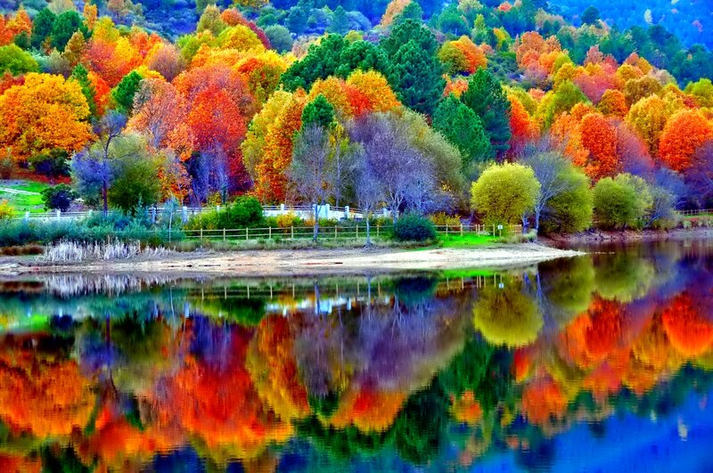Autumn Trees by Lake — Orange, Serene, Photograph, Fence