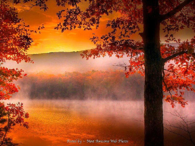 Autumn Trees by Lake — Orange, Serene, Photograph, Fog, Mountain