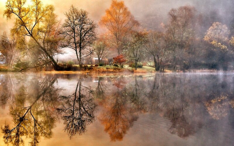 Autumn Trees by Lake — Orange, Serene, Photograph, Fog, Reflection