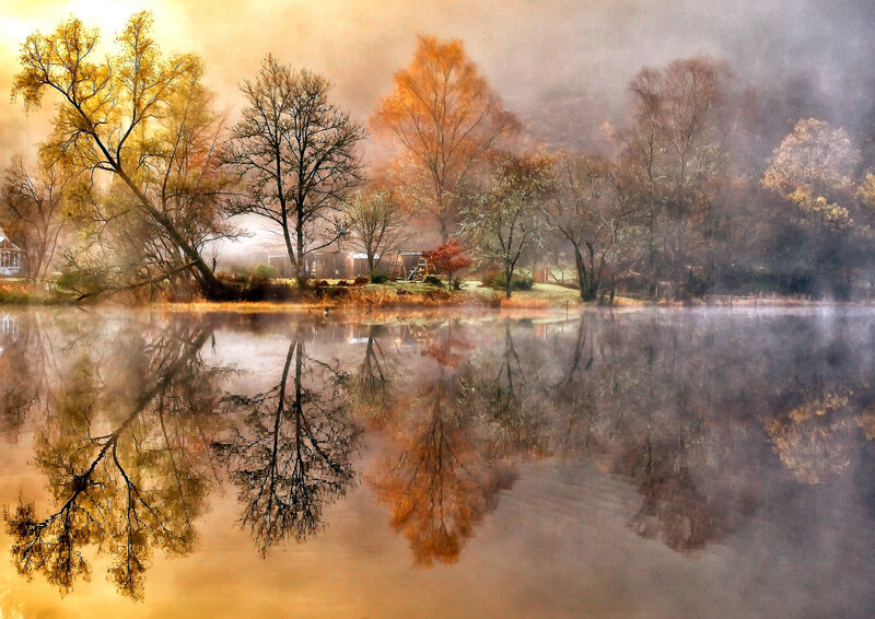 Autumn Trees by Lake — Orange, Serene, Photograph, Fog