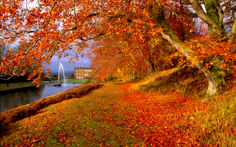 Autumn Trees by Lake — Orange, Serene, Photograph, Fountain