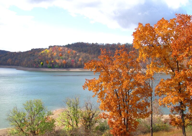 Autumn Trees by Lake — Orange, Serene, Photograph, Hills