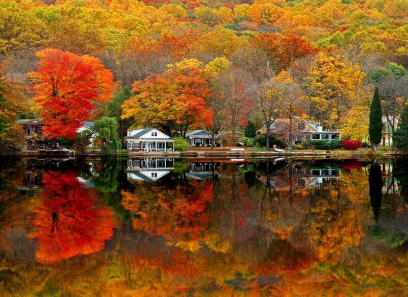 Autumn Trees by Lake — Orange, Serene, Photograph, Houses, Reflection