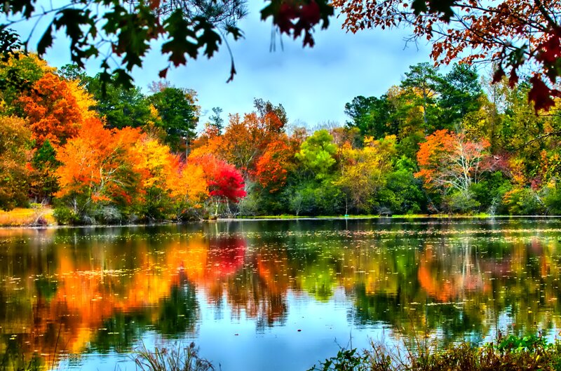 Autumn Trees by Lake — Orange, Serene, Photograph, Leaves, Sky