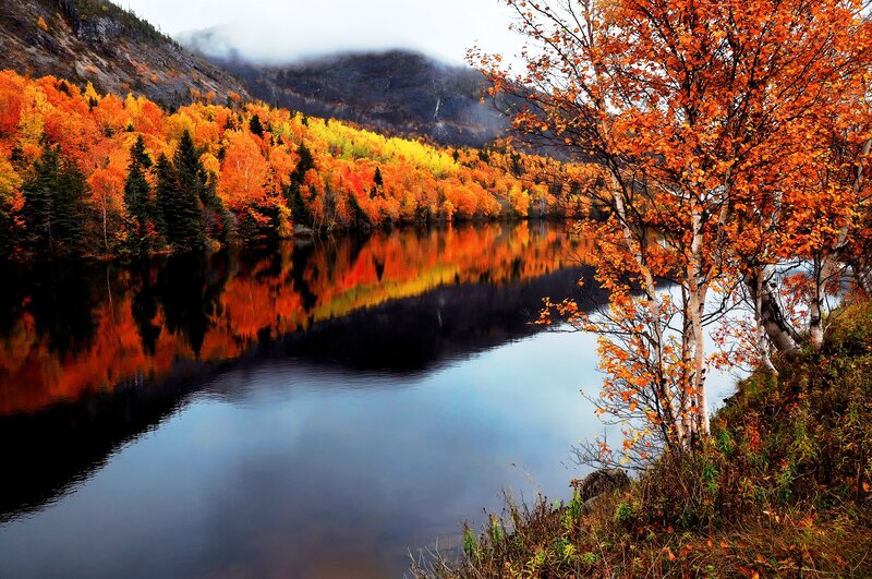 Autumn Trees by Lake — Orange, Serene, Photograph, Mountain, Forest, River