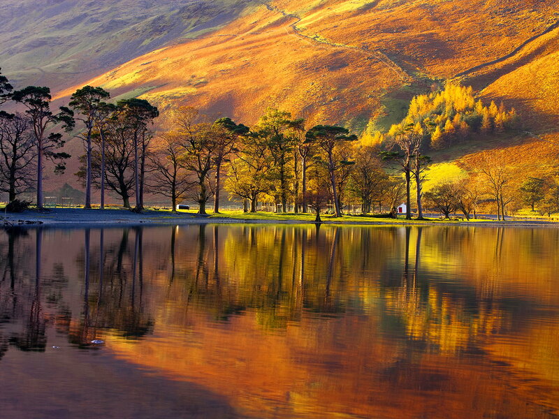 Autumn Trees by Lake — Orange, Serene, Photograph, Mountain, Reflection