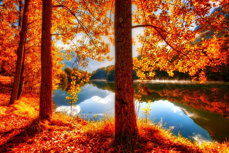 Autumn Trees by Lake — Orange, Serene, Photograph, Mountains, Fallen Leaves