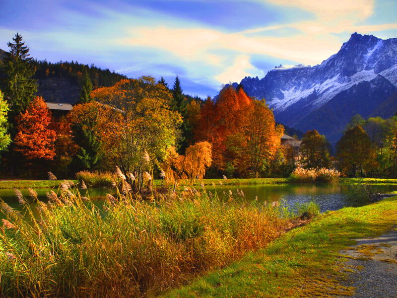 Autumn Trees by Lake — Orange, Serene, Photograph, Mountains, Path