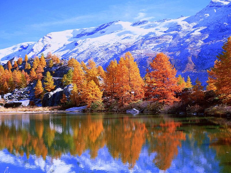 Autumn Trees by Lake — Orange, Serene, Photograph, Mountains