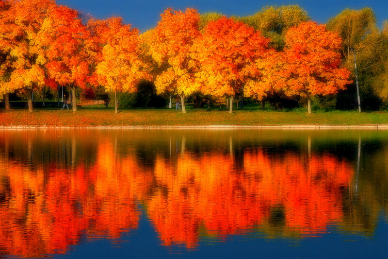 Autumn Trees by Lake — Orange, Serene, Photograph, People, Sky