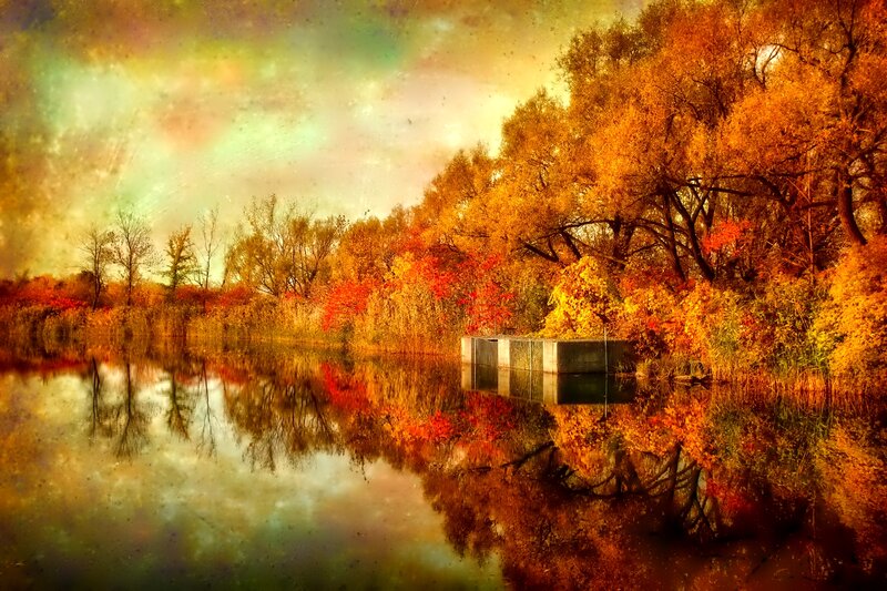 Autumn Trees by Lake — Orange, Serene, Photograph, Reflection, Dock
