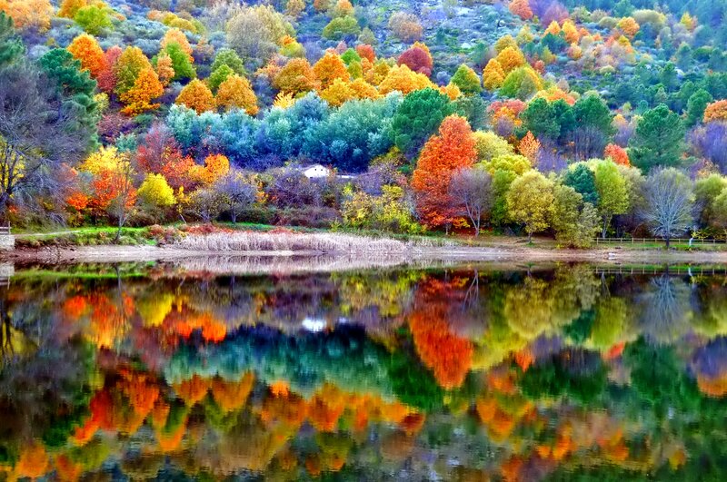 Autumn Trees by Lake — Orange, Serene, Photograph, Reflection, Hill