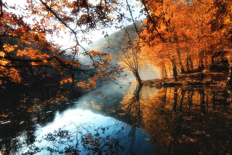 Autumn Trees by Lake — Orange, Serene, Photograph, Reflection, Mist