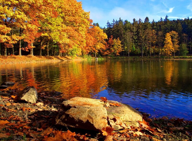 Autumn Trees by Lake — Orange, Serene, Photograph, Rocks, Leaves