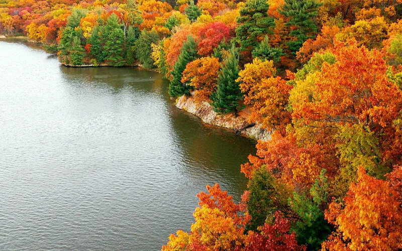 Autumn Trees by Lake — Orange, Serene, Photograph, Shore