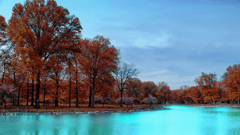 Autumn Trees by Lake — Orange, Serene, Photograph, Sky, Blue, Turquoise