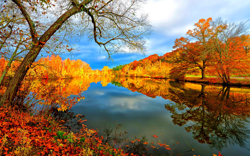 Autumn Trees by Lake — Orange, Serene, Photograph, Sky, Leaves