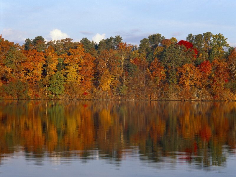 Autumn Trees by Lake — Orange, Serene, Photograph, Sky, Yellow, Blue