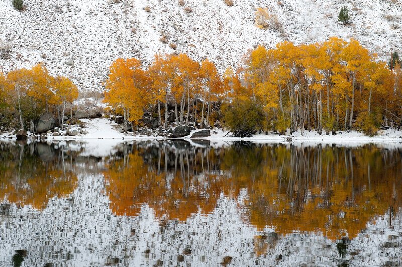 Autumn Trees by Lake — Orange, Serene, Photograph, Snow, Mountain