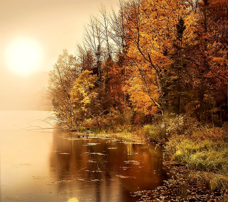Autumn Trees by Lake — Orange, Serene, Photograph, Sun, Mist