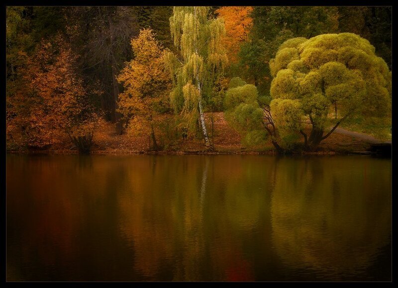 Autumn Trees by Lake — Orange, Serene, Photograph