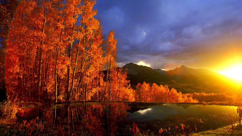 Autumn Trees by Lake — Orange, Serene, Sunrise