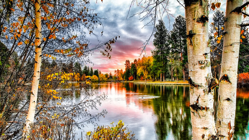 Autumn Trees by Lake — Orange, Serene, Sunset, Photograph, Birch Trees