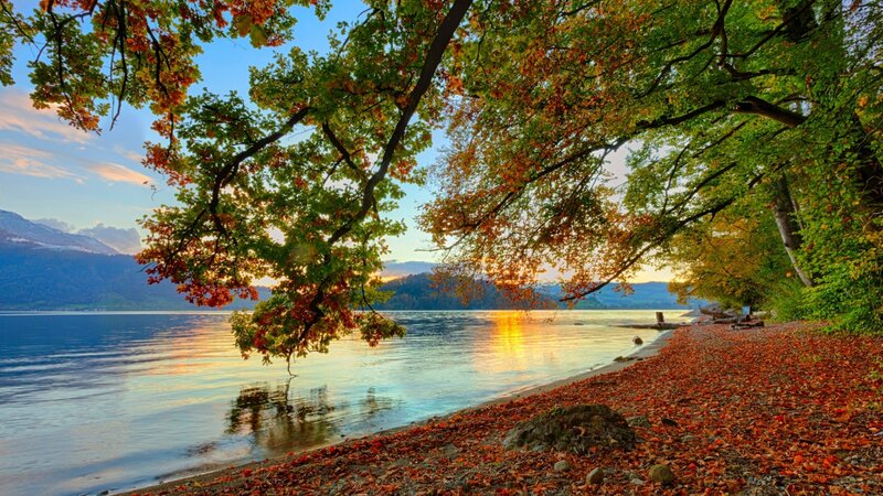 Autumn Trees by Lake — Orange, Serene, Sunset, Photograph, Mountains