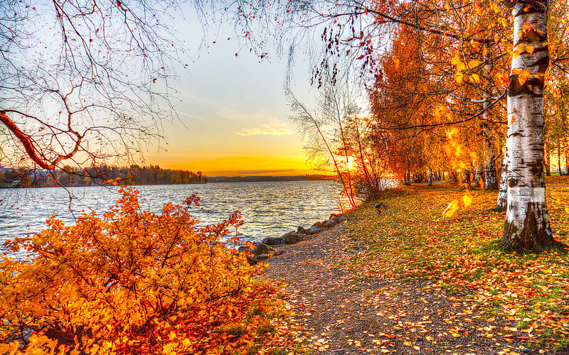 Autumn Trees by Lake — Orange, Serene, Sunset, Photograph, Path
