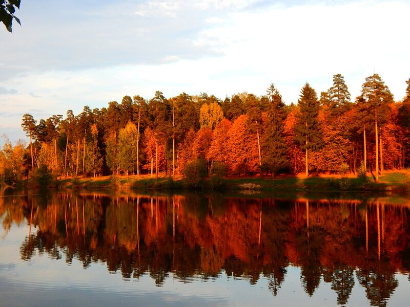 Autumn Trees by Lake — Orange, Serene, Sunset, Photograph, Reflection