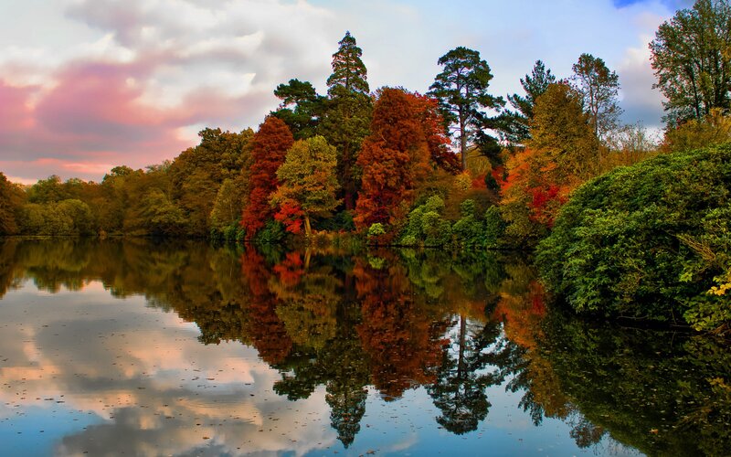 Autumn Trees by Lake — Orange, Serene, Sunset, Photograph, Sky, Reflection, Green