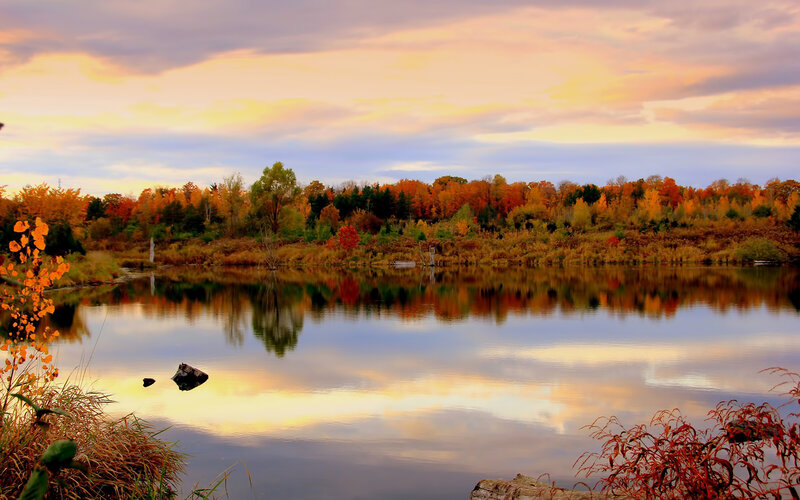 Autumn Trees by Lake — Orange, Serene, Sunset, Photograph, Sky, Rocks