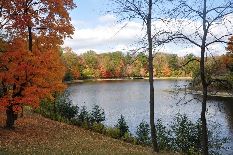Autumn Trees by Lake — Orange