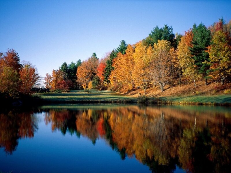Autumn Trees by Lake — Photograph, Grass
