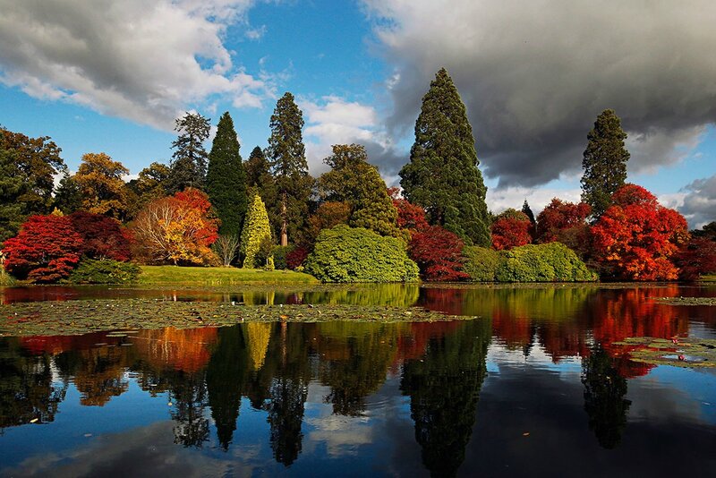 Autumn Trees by Lake — Red, Dramatic, Photograph, Clouds