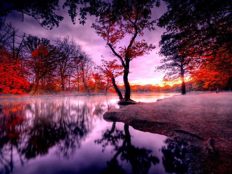 Autumn Trees by Lake — Red, Dramatic, Sunset