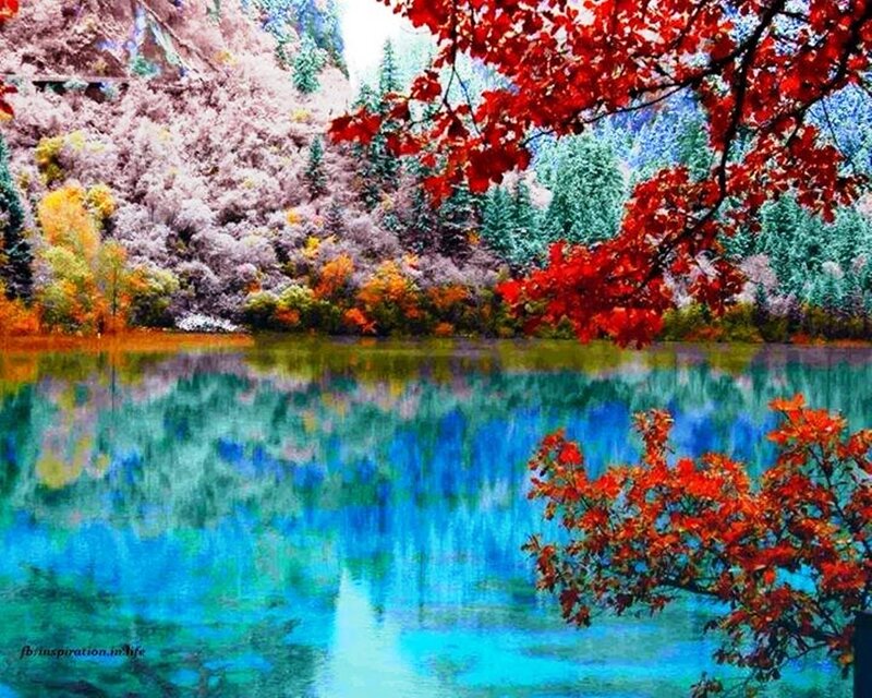 Autumn Trees by Lake — Red, Serene, Digital Art