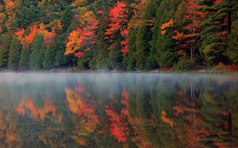 Autumn Trees by Lake — Red, Serene, Morning
