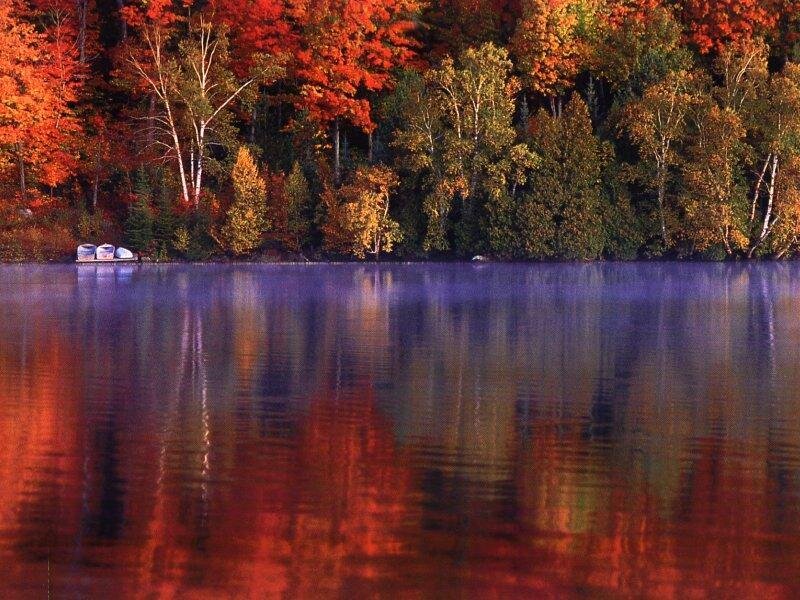 Autumn Trees by Lake — Red, Serene, Photograph, Boats