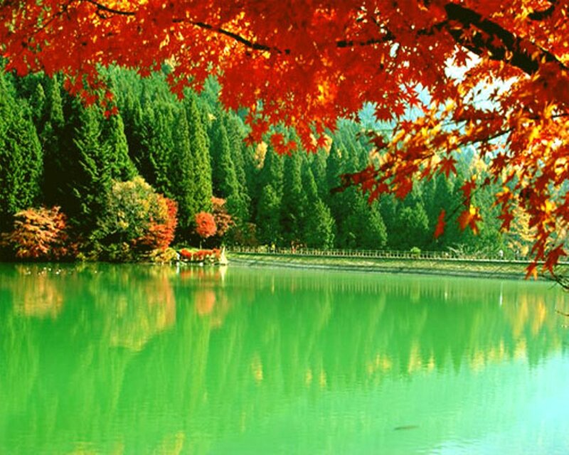 Autumn Trees by Lake — Red, Serene, Photograph, Bridge