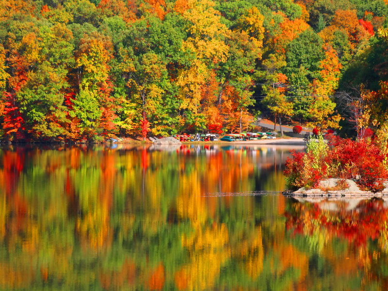 Autumn Trees by Lake — Red, Serene, Photograph, Canoes