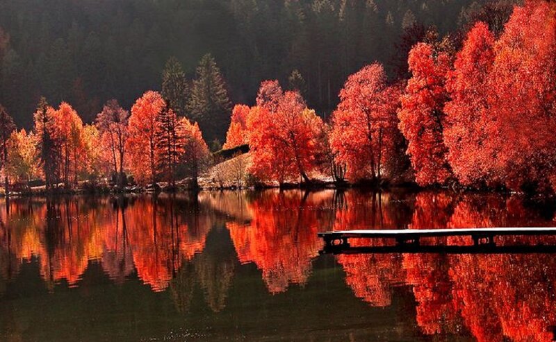 Autumn Trees by Lake — Red, Serene, Photograph, Dock, Forest