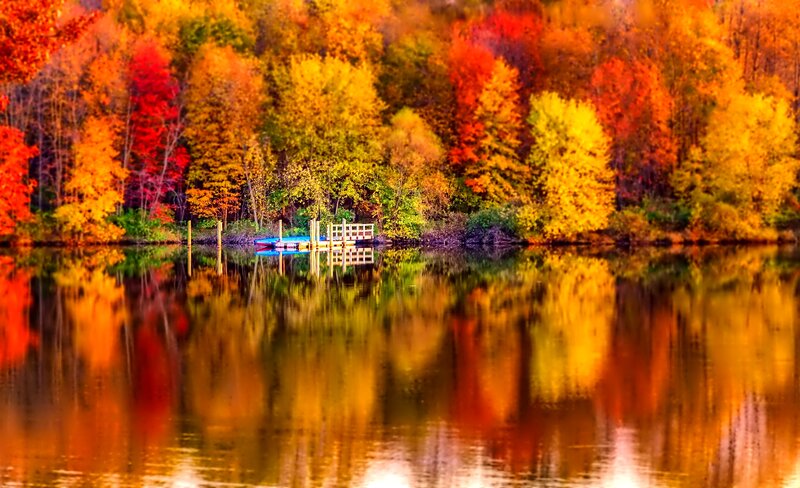 Autumn Trees by Lake — Red, Serene, Photograph, Dock, Reflection