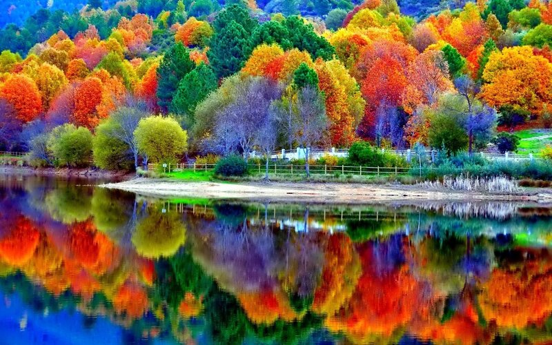 Autumn Trees by Lake — Red, Serene, Photograph, Fence