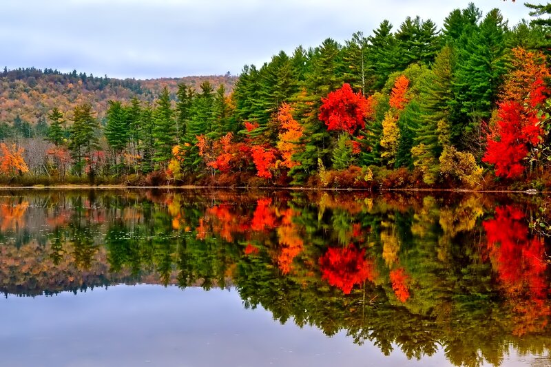 Autumn Trees by Lake — Red, Serene, Photograph, Forest, Reflection