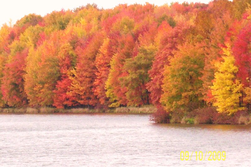 Autumn Trees by Lake — Red, Serene, Photograph, Forest