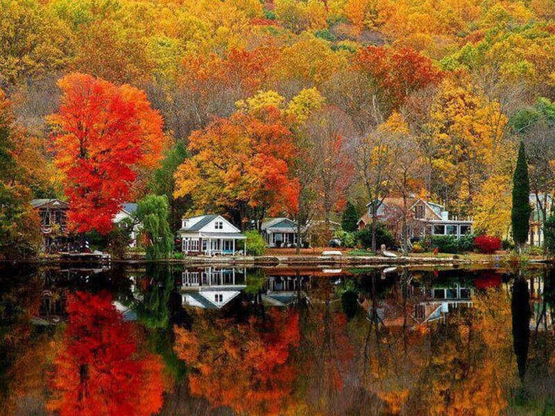 Autumn Trees by Lake — Red, Serene, Photograph, Houses