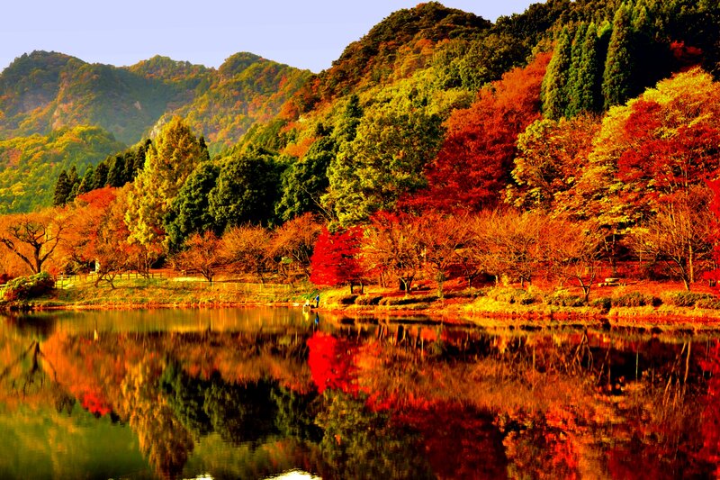 Autumn Trees by Lake — Red, Serene, Photograph, Mountain, Reflection